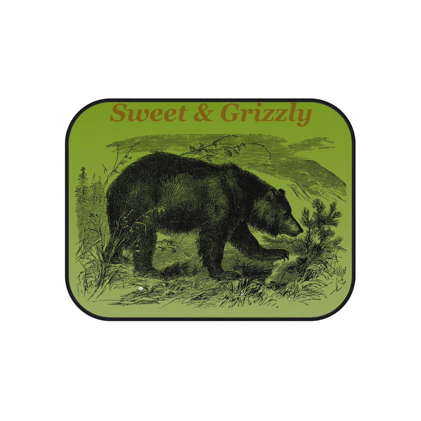 Car Mats (Set of 4)
