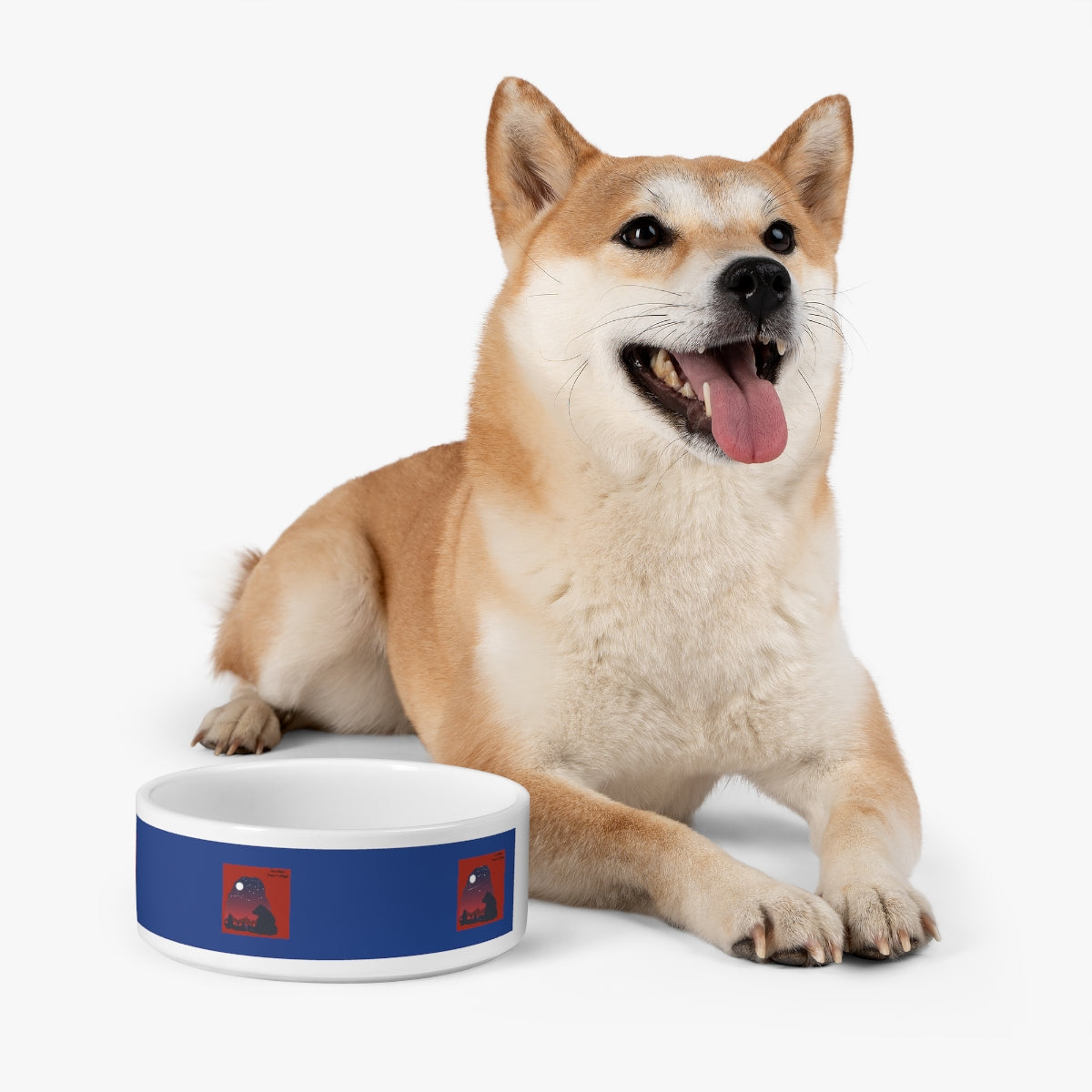 Pet Bowl